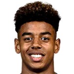 Футболист Виллем Жеббель